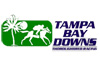 Tampa Bay Downs :: Click here for more information